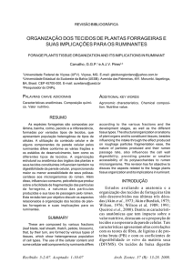 organização dos tecidos de plantas forrageiras e suas