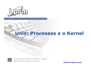 Unix: Processos e o Kernel