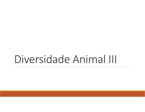 slides Diversidade Animal III