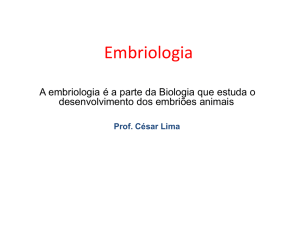 Aula de Embriologia