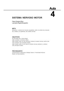 sistema nervoso motor