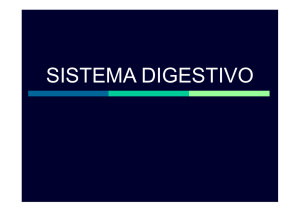 Sistema Digestivo II - ABciências.Webnode.pt