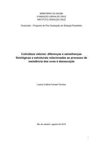 Culicídeos vetores: diferenças e semelhanças fisiológicas e