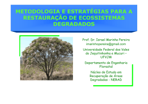 aula estrategias de RAD - Prof. Israel Marinho Pereira