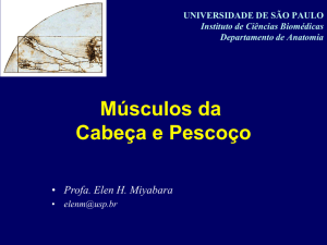 Músculos da Cabeça e Pescoço Arquivo