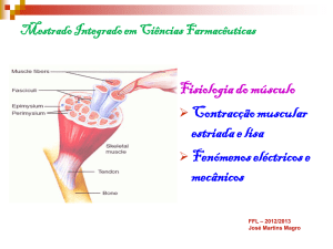 Musculo File