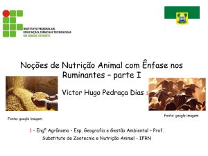 Noções de Nutrição Animal com Ênfase nos Ruminantes – parte I