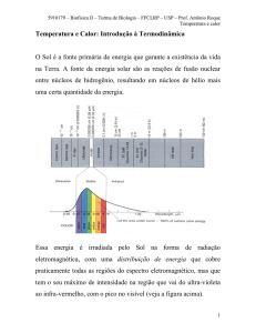 Termodinâmica 1