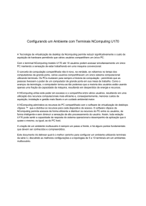 30/04/2010 - Configurando um Ambiente com Terminais