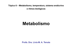 Metabolismo - Portal FOP
