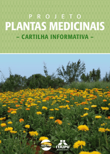 Cartilha Informativa do Projeto Plantas Medicinais