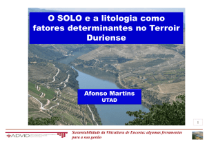 O SOLO e a litologia como fatores determinantes no Terroir Duriense