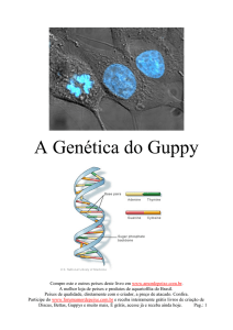 A Genética do Guppy - Free