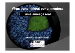 Vírus transmitidos por alimentos