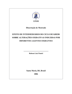 UFSM Dissertação de Mestrado EFEITO DE INTERMEDIÁRIOS DO