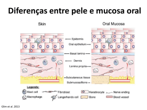 Diferenças entre pele e mucosa oral
