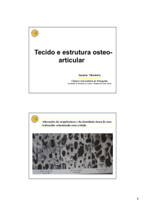 Tecido e estrutura osteo- articular