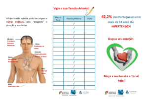 Vigie a sua Tensão Arterial! 42,2% dos Portugueses com mais de