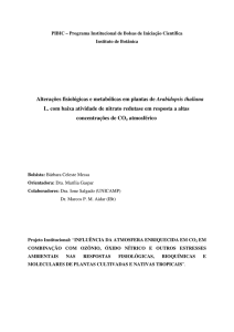 Alterações fisiológicas e metabólicas em plantas de Arabidopsis