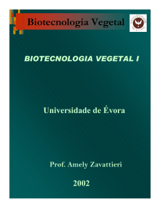 Biotecnologia Vegetal - Universidade de Évora