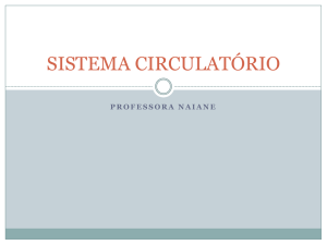 sistema circulatório - Colégio Monte Castelo