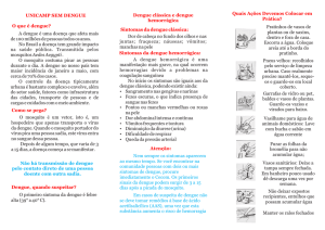 folder Dengue2 - CECOM