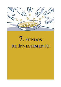 7. Fundos de Investimento