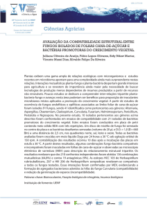 avaliação da compatibilidade estrutural entre fungos isolados de