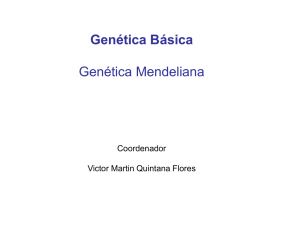 Genética Básica Genética Mendeliana