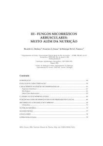 Fungos Micorrízicos.p65