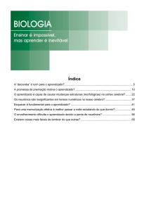 Apostila em PDF