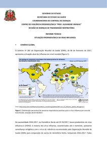 SRAG-Influenza Informe Técnico Situação Epidemiológica