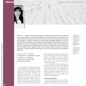 Revista Textual Internet.cdr