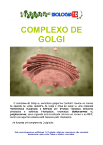 complexo de golgi
