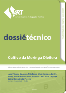 Cultivo da Moringa Oleífera - Serviço Brasileiro de Respostas