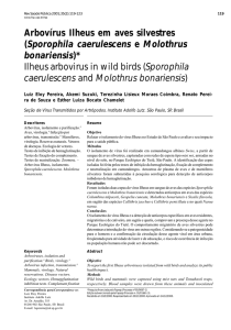 Arbovírus Ilheus em aves silvestres (Sporophila