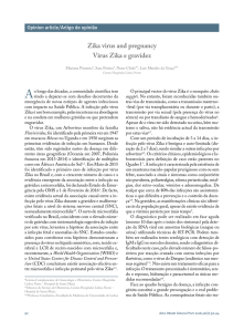 Zika virus and pregnancy Vírus Zika e gravidez