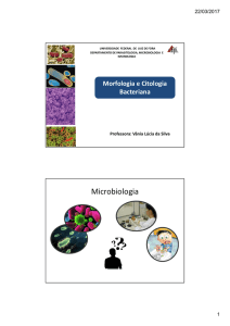 Morfologia e Citologia bacteriana