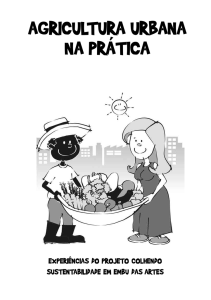 agricultura urbana na prática