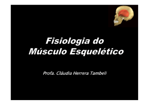 Contração Muscular Contração Muscular - Portal FOP