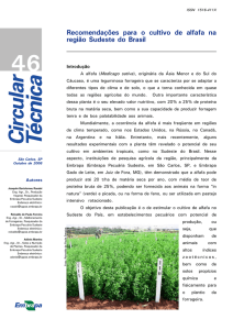 Recomendações para o cultivo da alfafa na região