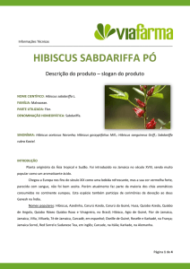 hibiscus sabdariffa pó