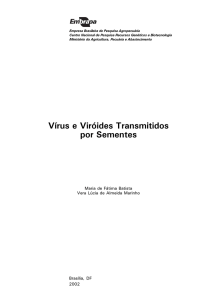 Virus e Vir.ides.p65