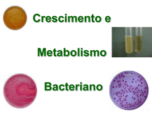 Crescimento e Metabolismo Bacteriano - IBB