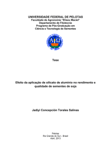 Efeito da aplicação de silicato de alumínio no rendimento e