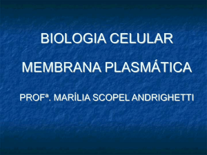 Membrana Plasmática Suplemento 001