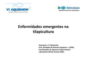 Doenças Emergentes - Henrique Figueiredo Aquishow 2015