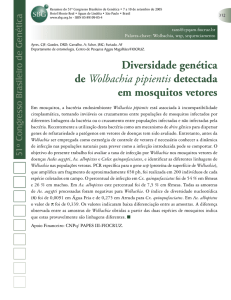 Diversidade genética de Wolbachia pipientis detectada em
