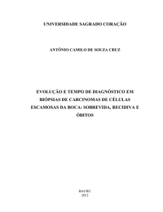 antônio camilo de souza cruz evolução e tempo de