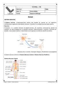 col&eacute;gio israelita brasileiro